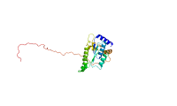 Illustration af strukturen for GJB2 genet, også kendt som Connexin 26